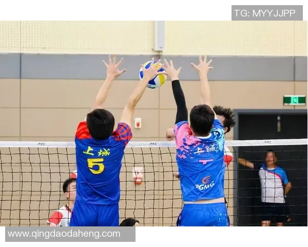 杭州排球队实力引发热议球迷观点各异引发讨论