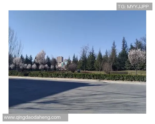 世界纪录保持者的非凡成就与背后故事:打破极限与超越自我的人生轨迹