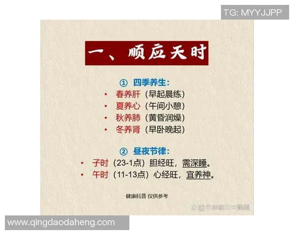 提升身体素质与健康管理从健身开始，打造理想体型的科学方法与技巧