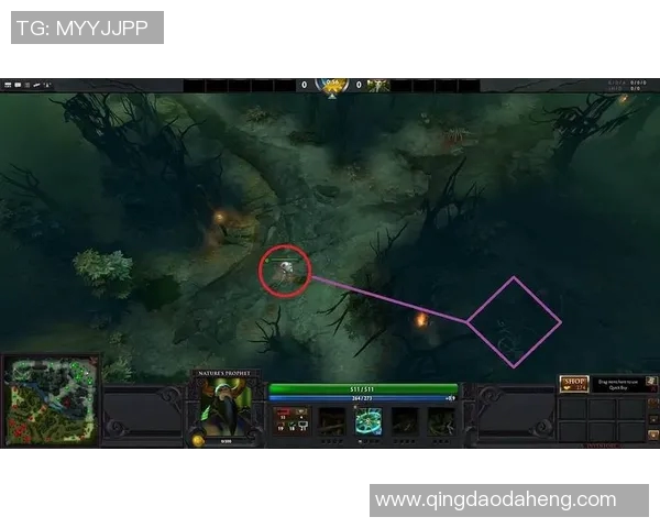 DOTA2战术解析:深入探讨BLG的区域防守策略与执行技巧