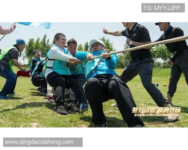 V5在挑战者杯中的团队协作表现分析与评价