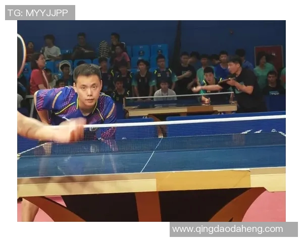 乒乓球快攻技艺揭秘:西安乒乓球队的训练与战术分析